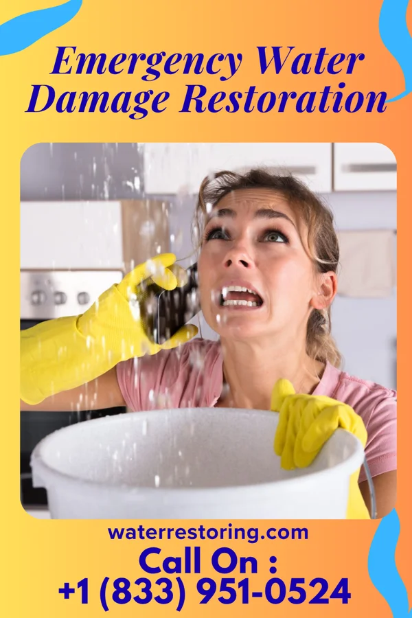 Emergency Water Damage Restoration in Norlina, NC