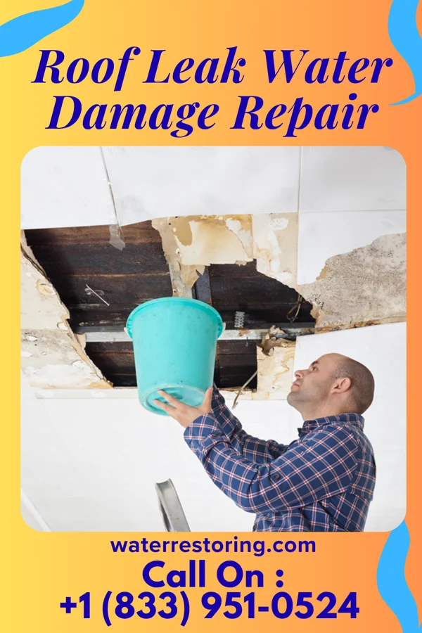 Roof Leak Water Damage Repair in Norlina, NC