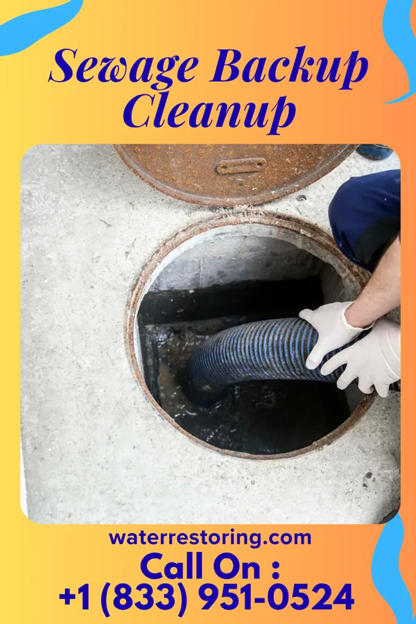 Sewage Backup Cleanup in Norlina, NC