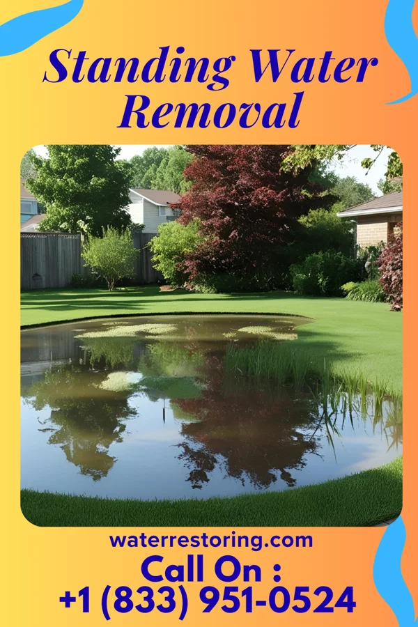 Standing Water Removal in Norlina, NC